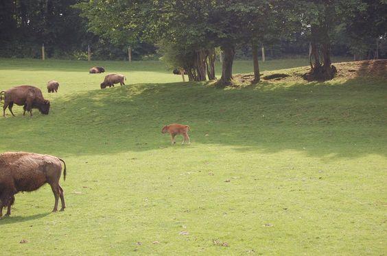 DSC_0077 [50%] [50%].JPG